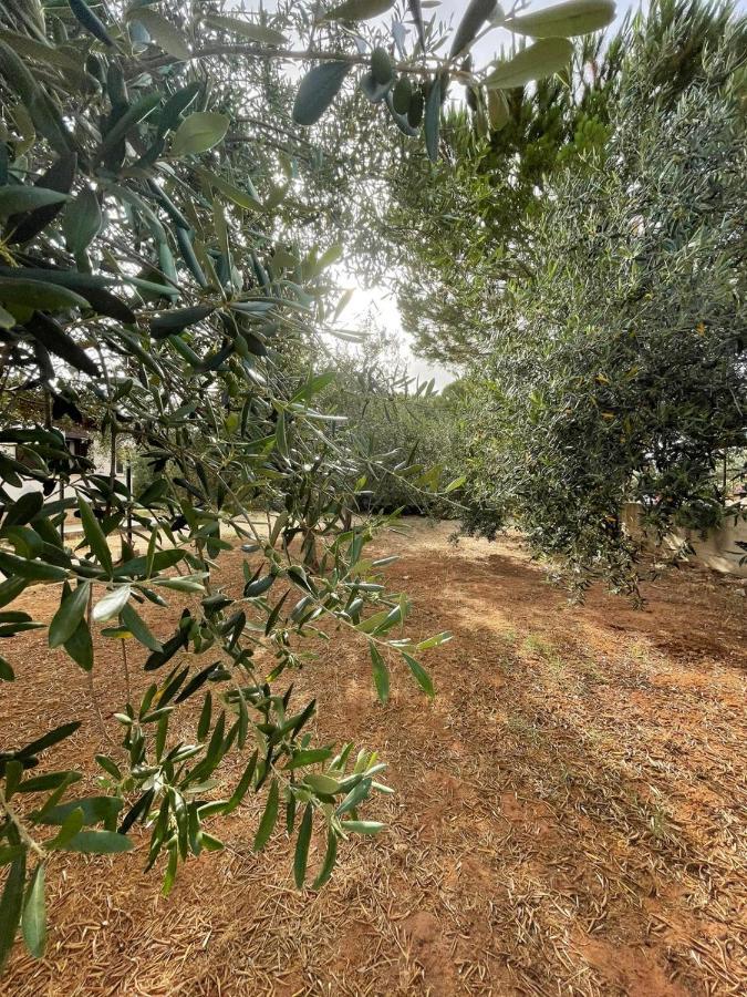 Il Moro - Casa Vacanze Terrasini Dış mekan fotoğraf