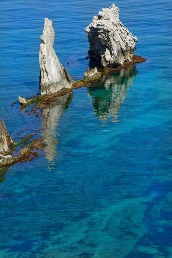 Il Moro - Casa Vacanze Terrasini Dış mekan fotoğraf